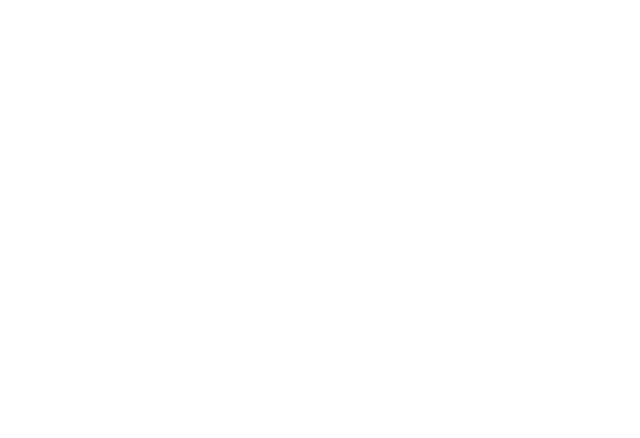 irissteger_photography Logo