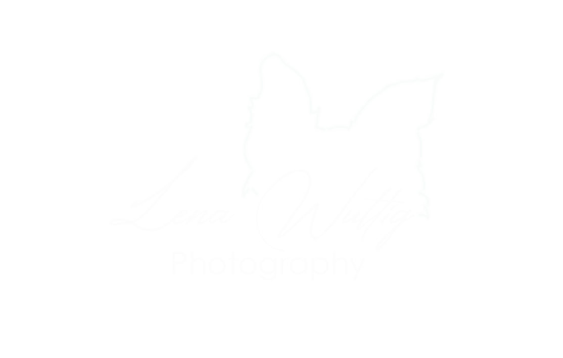 Header Shop Logo