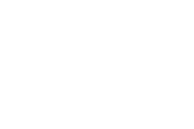 natalia-nirschl-photography Logo