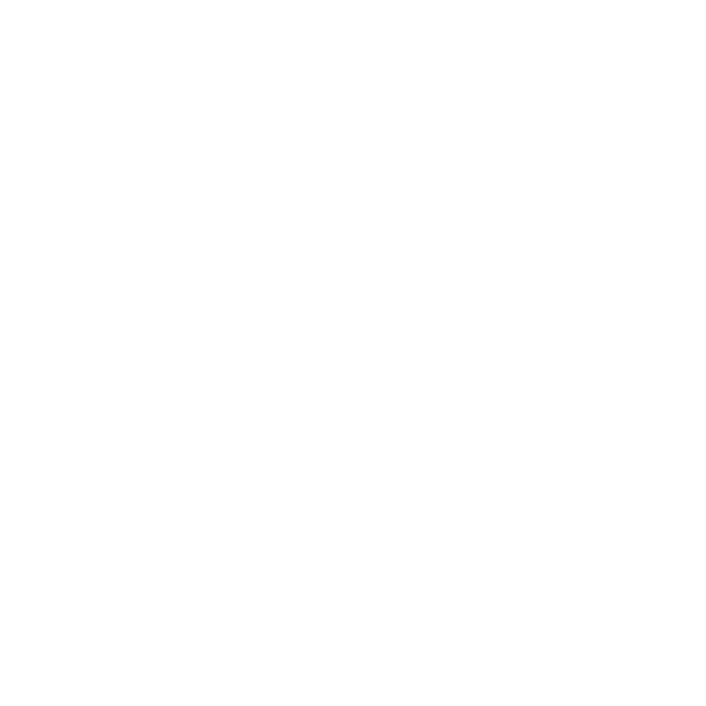 aylinfotografiert Logo