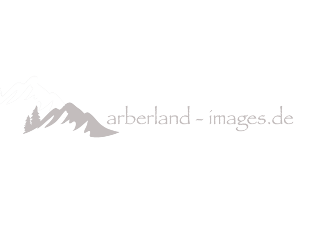 Frank Bietau / Arberland-Images Logo