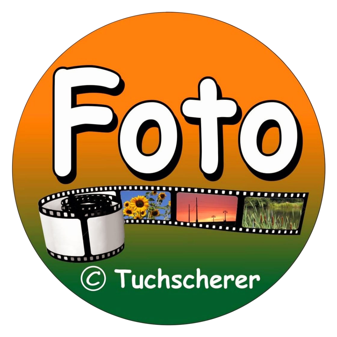 Header Shop Logo