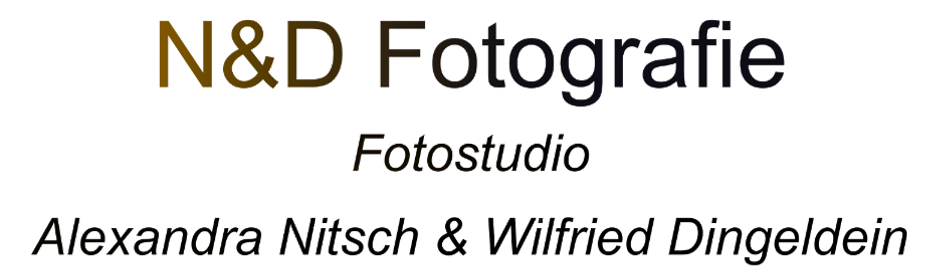 Header Shop Logo