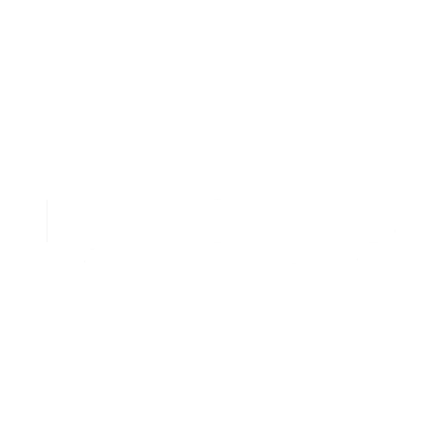 FlyGuys Saarlouis Logo