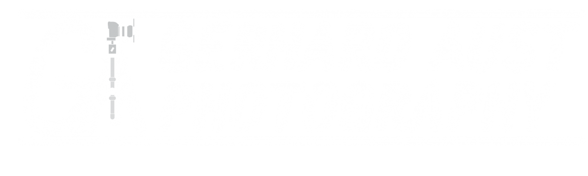 Header Shop Logo