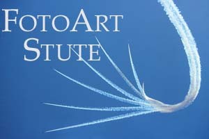 Header Shop Logo