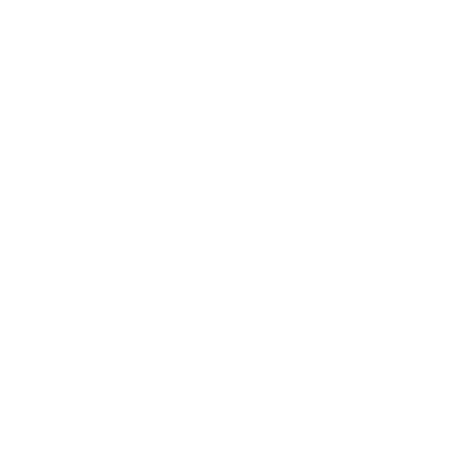 Vøks.Vision Logo