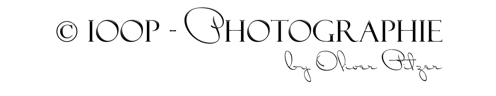 Header Shop Logo