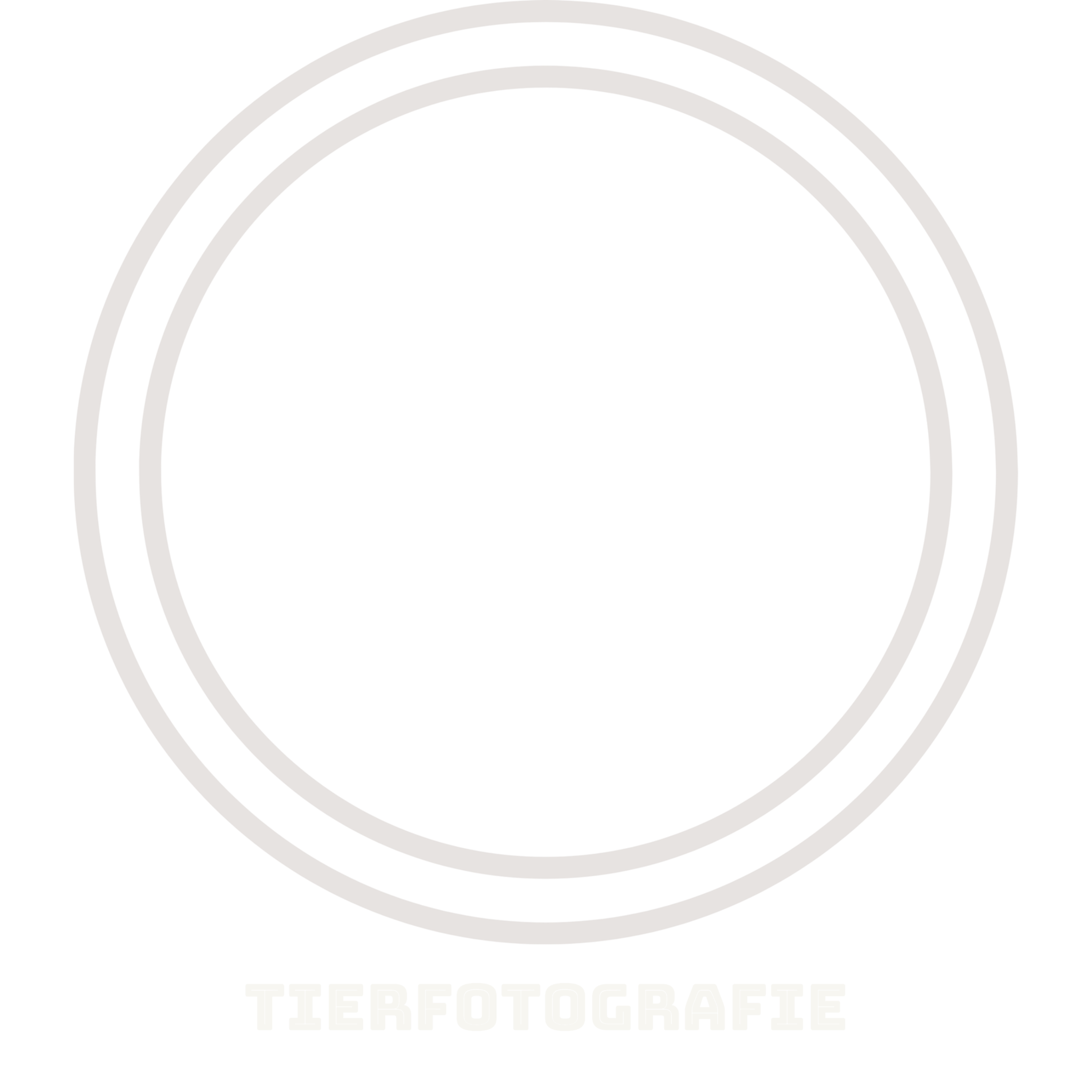 Header Shop Logo