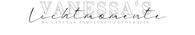 Vanessa's Lichtmomente Logo