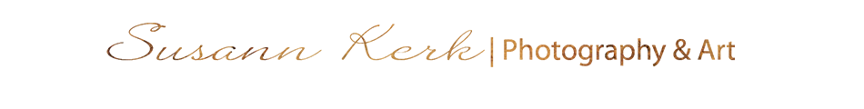 Header Shop Logo