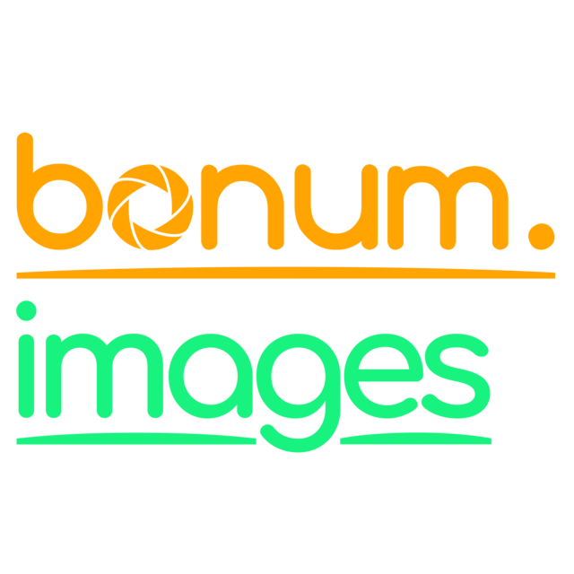 bonum Logo