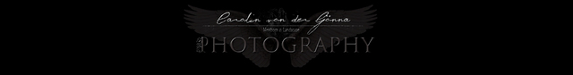 cvdg Logo
