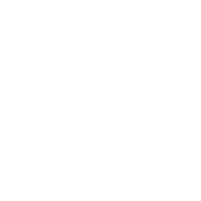 hismindset Logo