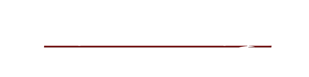 Header Shop Logo