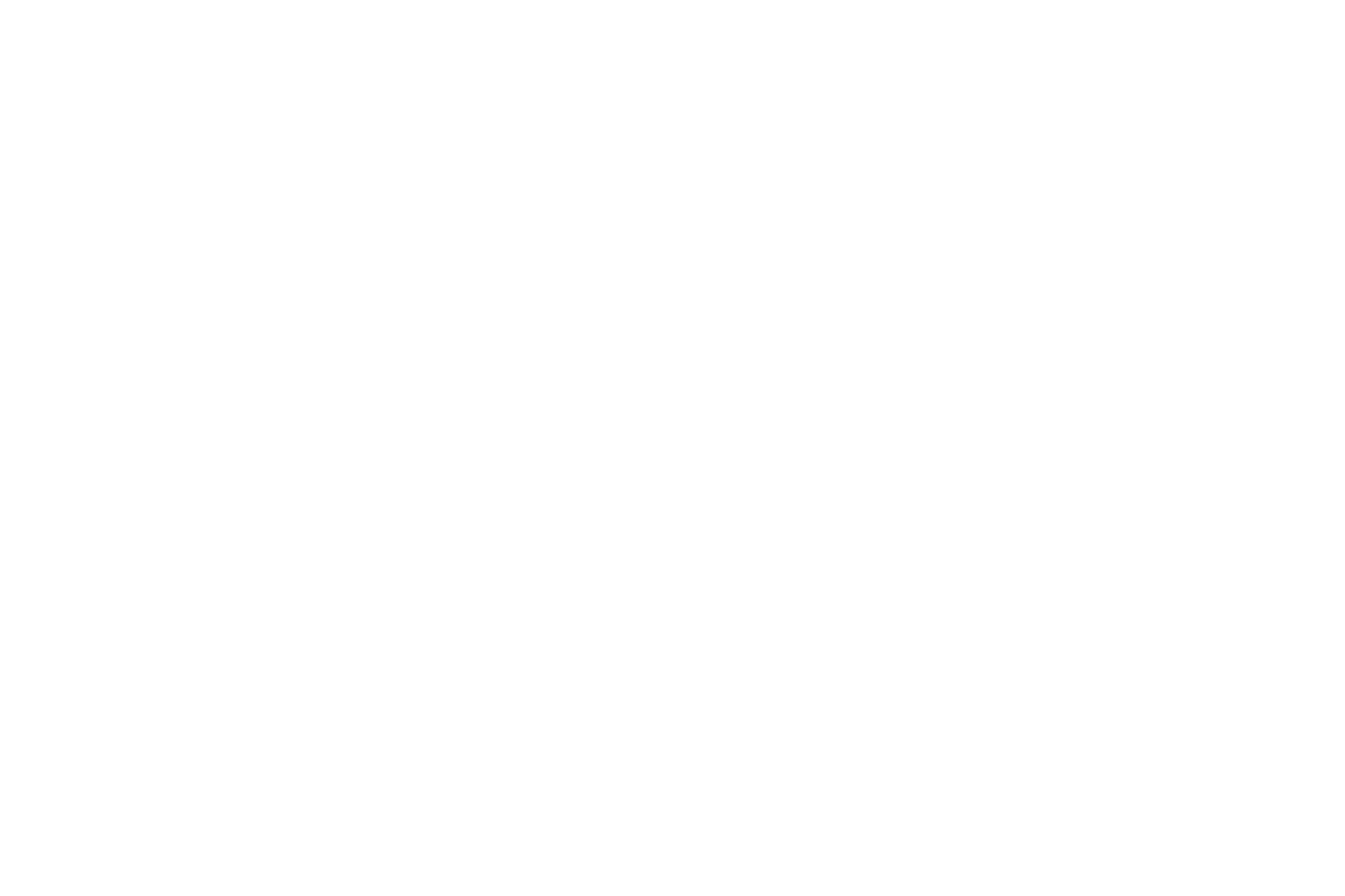 Header Shop Logo