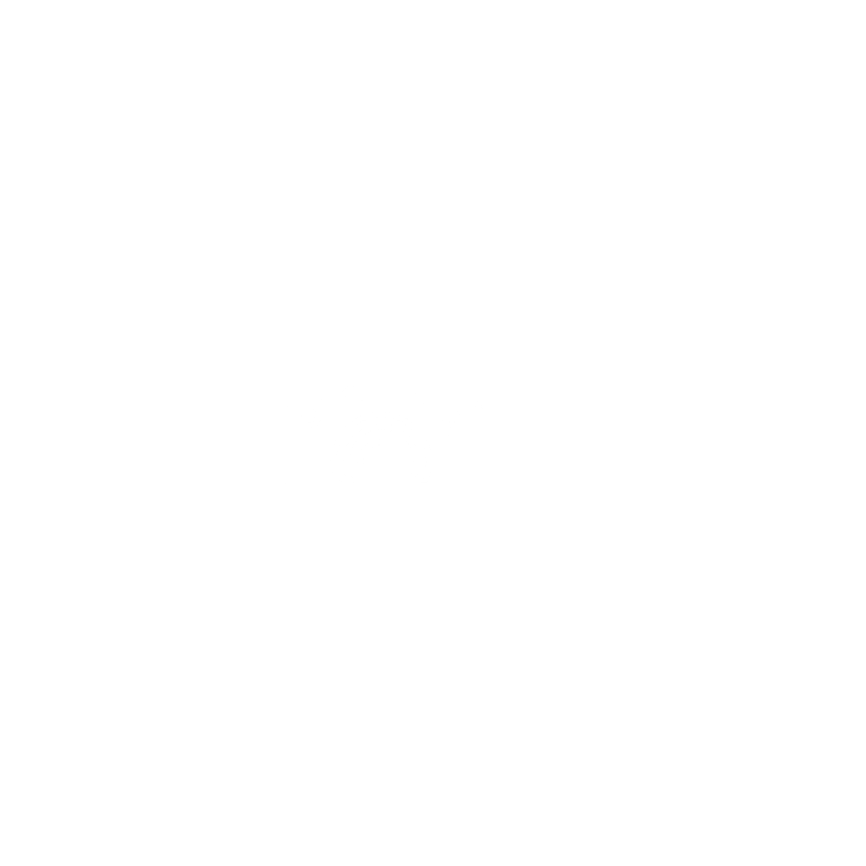 Header Shop Logo