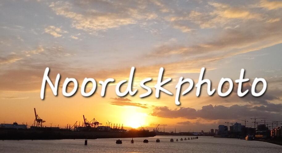 Header Shop Logo