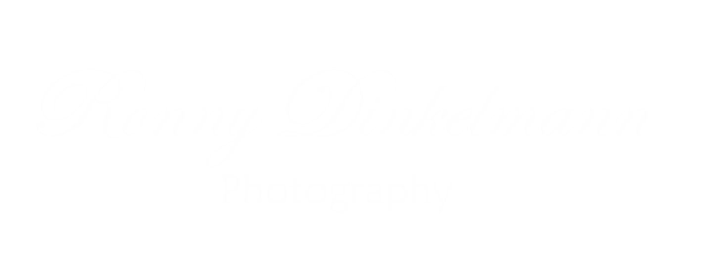 Header Shop Logo