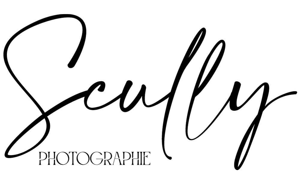 Header Shop Logo