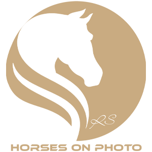 Header Shop Logo