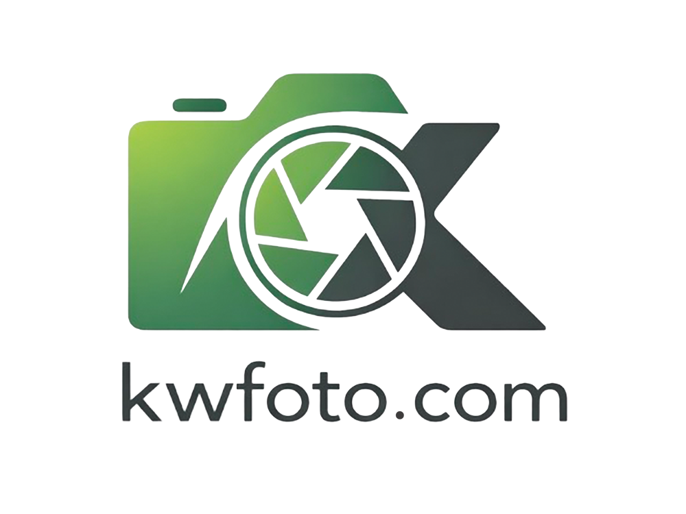 Header Shop Logo