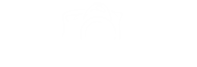 Lukas Fiebiger Photography Logo