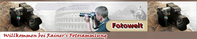 Header Shop Logo