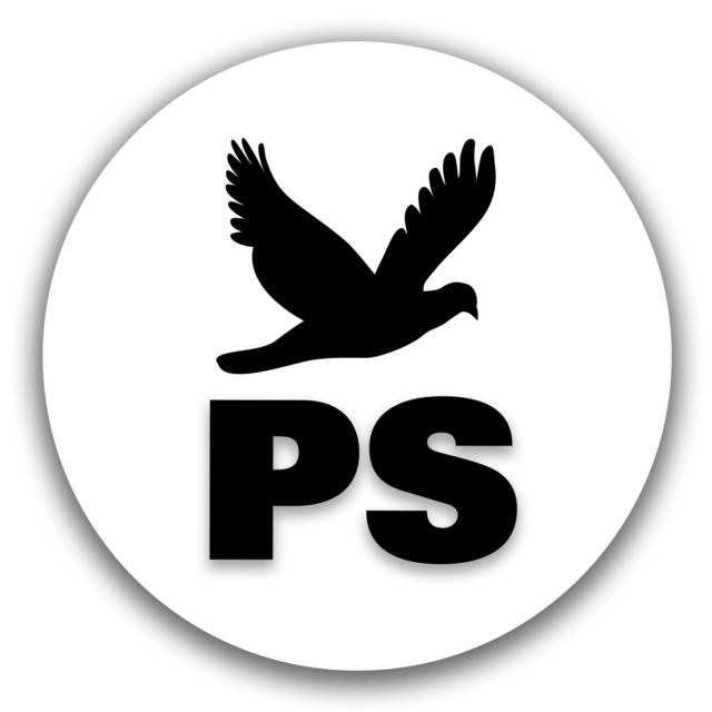Paddy Schmitt Logo