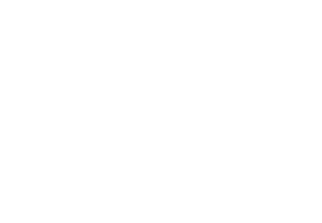 Elisabeth Schleppi Logo
