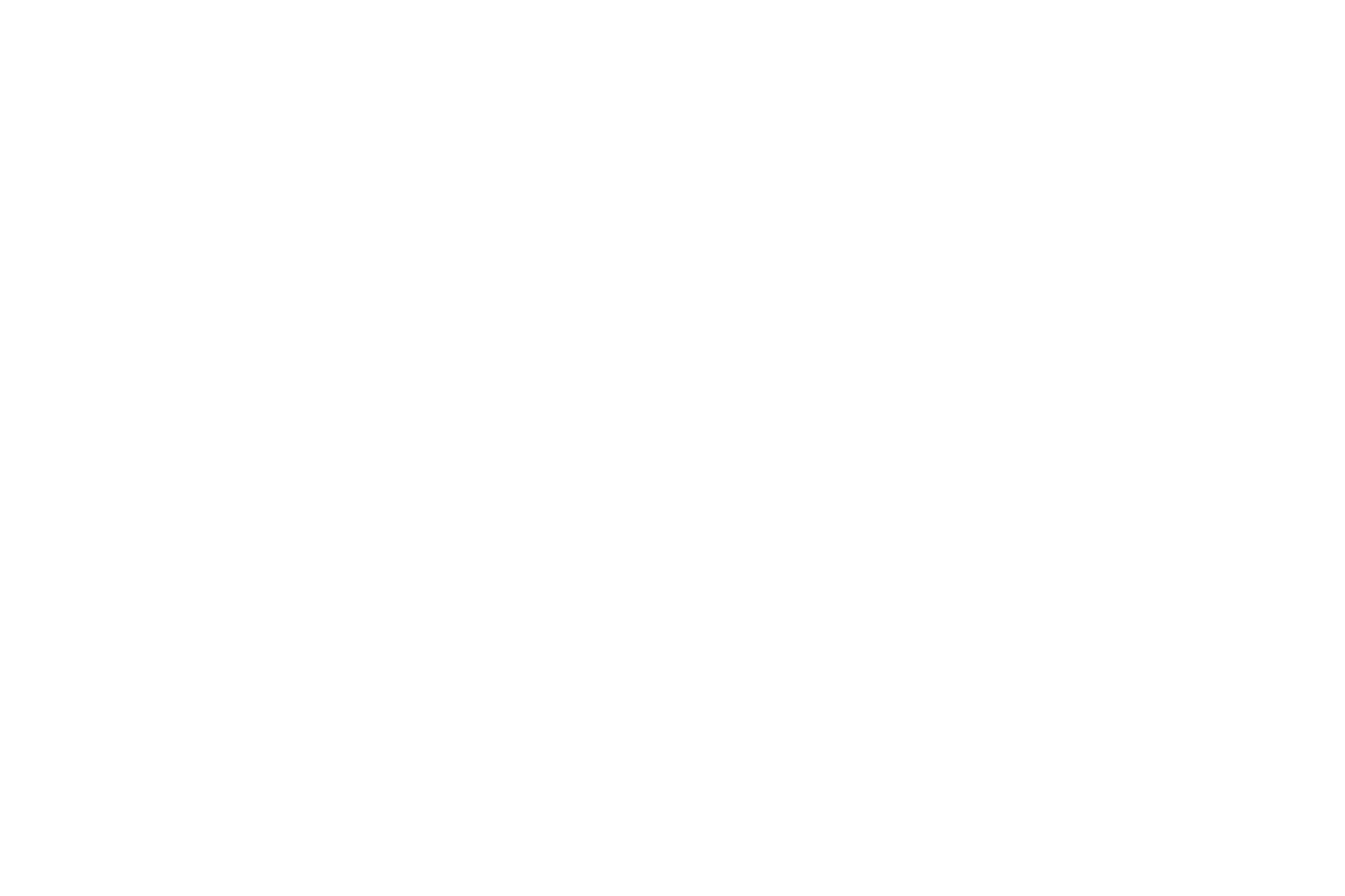 Header Shop Logo
