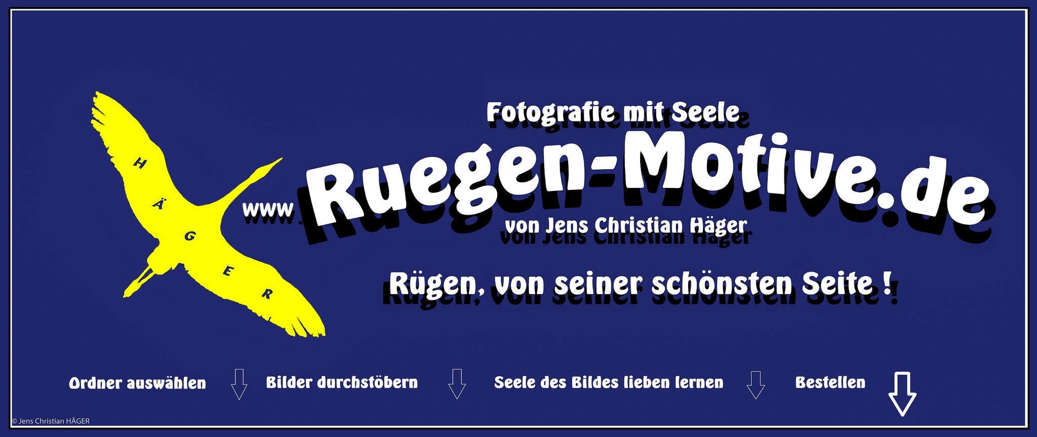 Header Shop Logo