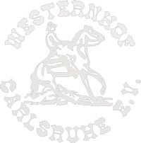 Header Shop Logo