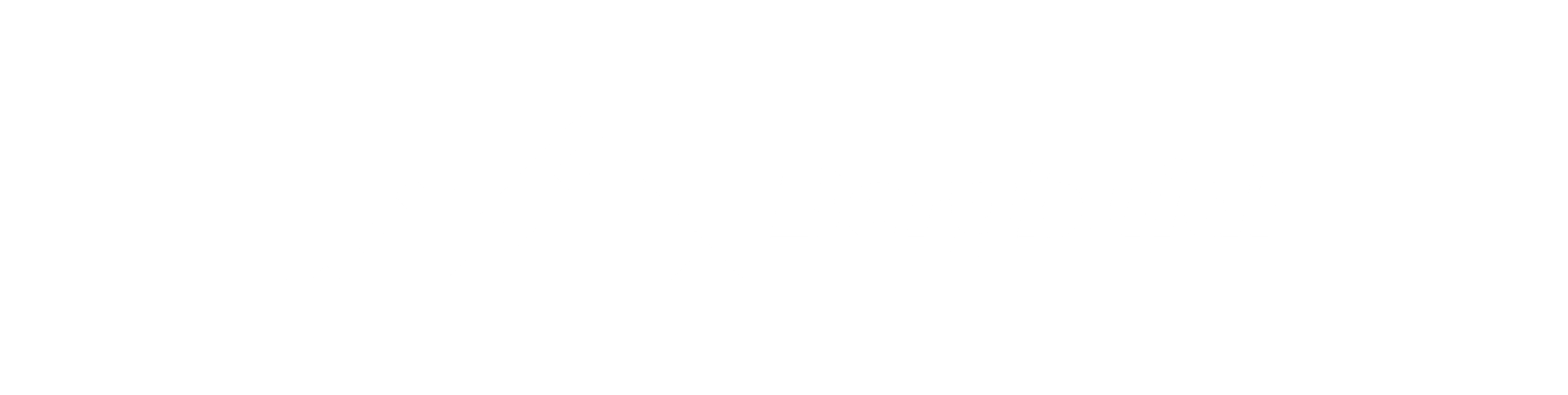 Header Shop Logo