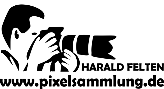 pixelsammlung Logo