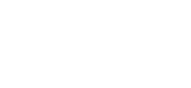 ZXW Logo