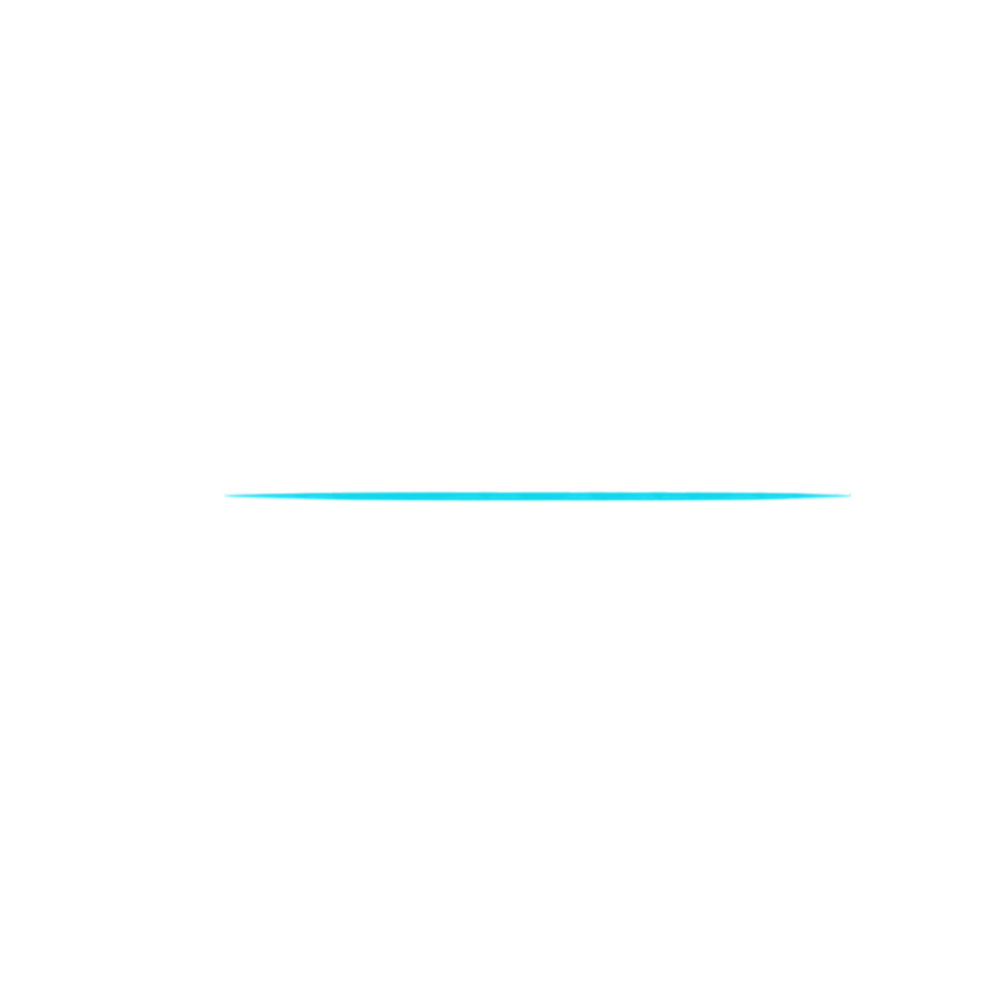 Header Shop Logo