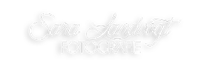 Header Shop Logo
