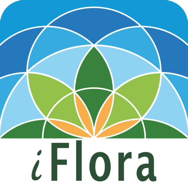 i-Flora Logo
