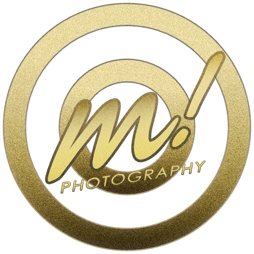 Header Shop Logo