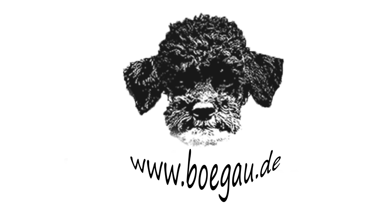 Header Shop Logo
