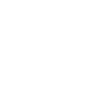 Header Shop Logo