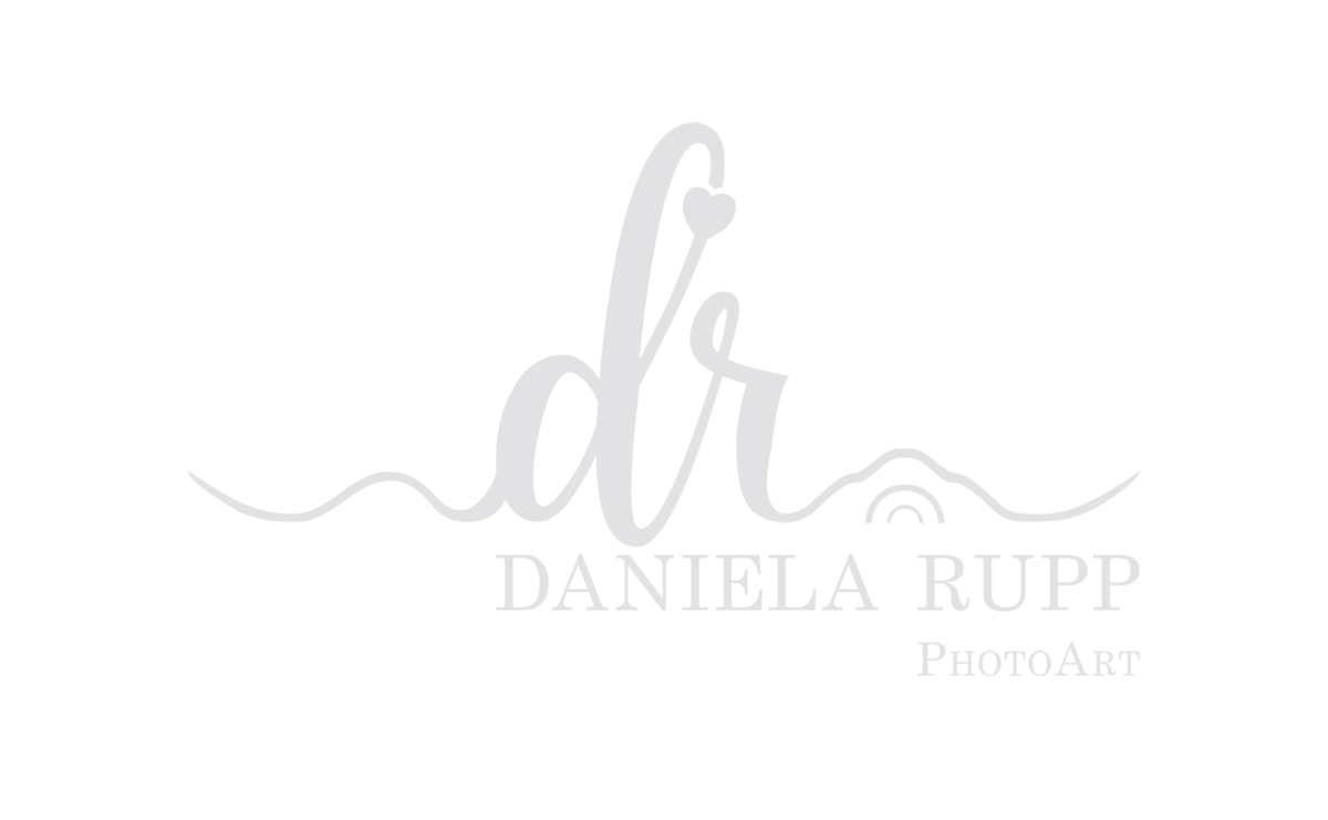 Header Shop Logo