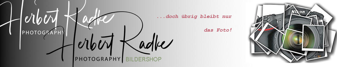 Header Shop Logo