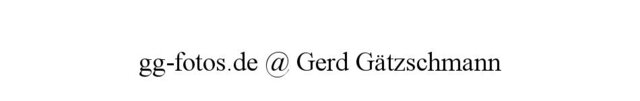 gg-fotos.de @ Gerd Gätzschmann Logo