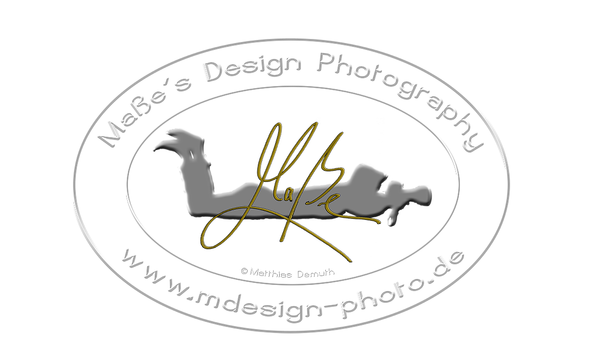 Header Shop Logo