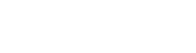 Thomas Willerer Logo