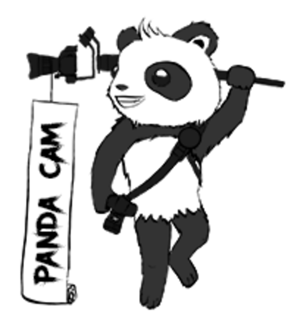 pandacam Logo