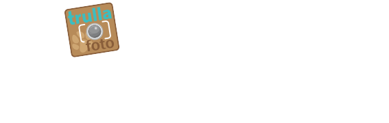 Header Shop Logo