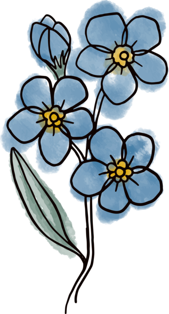 Die Wohlfühlfotografin - Margit Sommergruber Logo